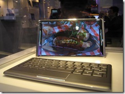 CES2009Day1 154_Medium