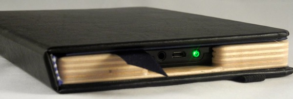 pandqcases13.jpg Fire Keeper's Button Cutout