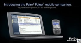 Palmfoleo