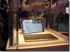 CES2009Day1 152_Medium