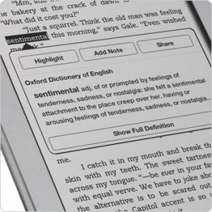 kindle dictionary look up