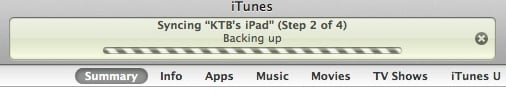 iTunes Backing Up