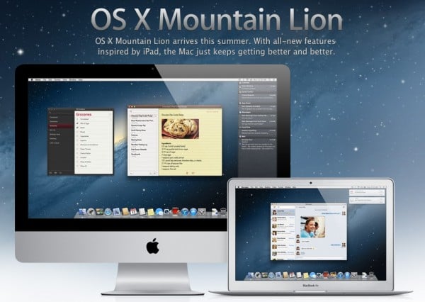 Mountain Lion
