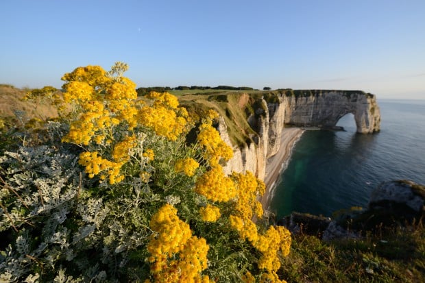 nikon-d800-sample-lanscape-photo-ocean Nikon D800 Sample photo, image of ocean and flowers
