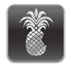 iOS 6 jailbreak release date