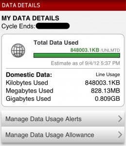 Check iPhone Data Usage