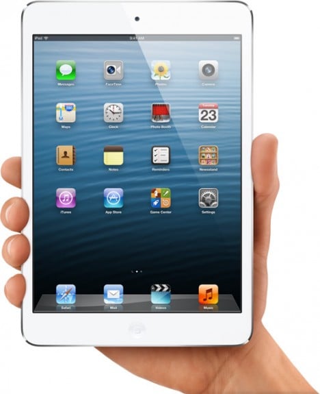 iPad Mini in Hand