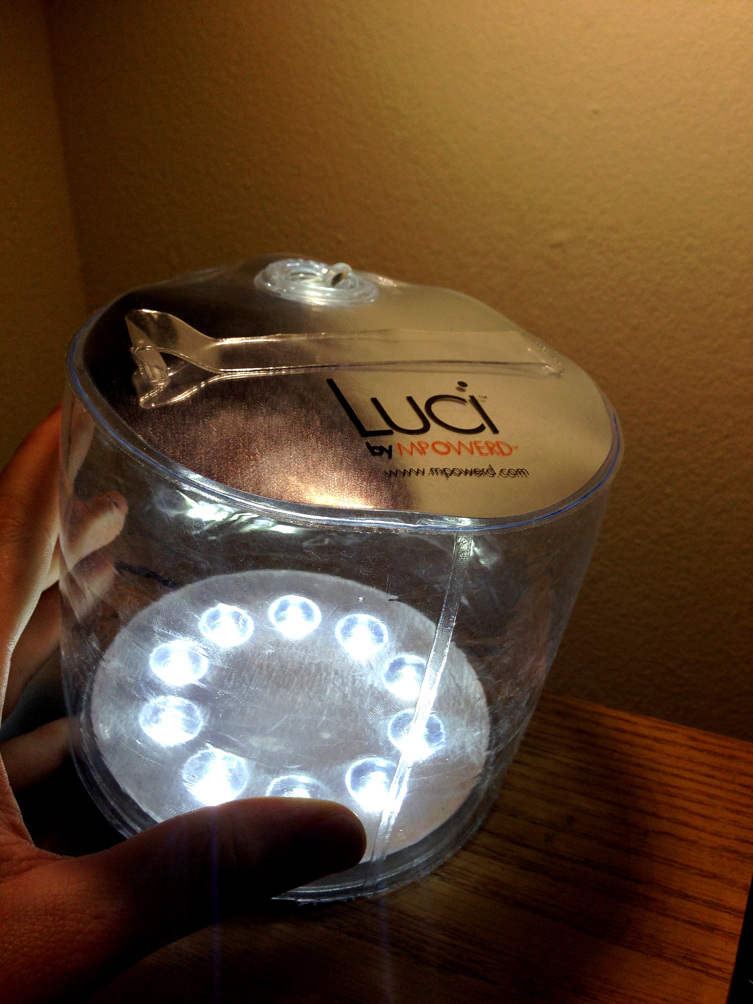 Luci
