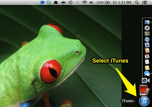 Select iTunes