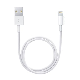 Apple short Lightning cable