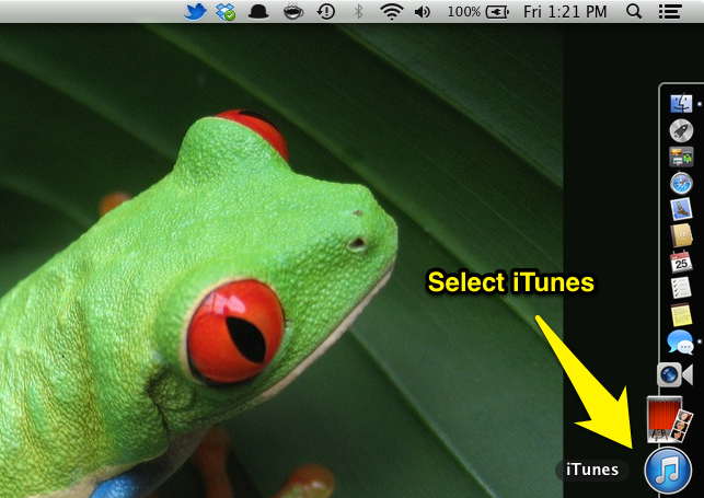Select iTunes