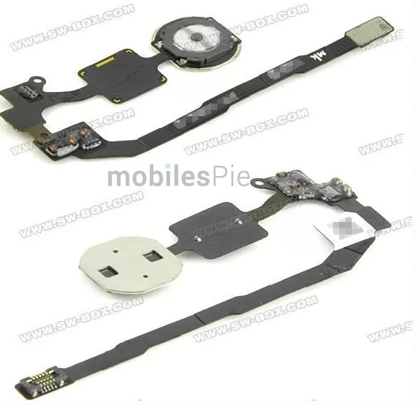 A possible iPhone 5S or iPhone 5C home button with fingerprint sensor.
