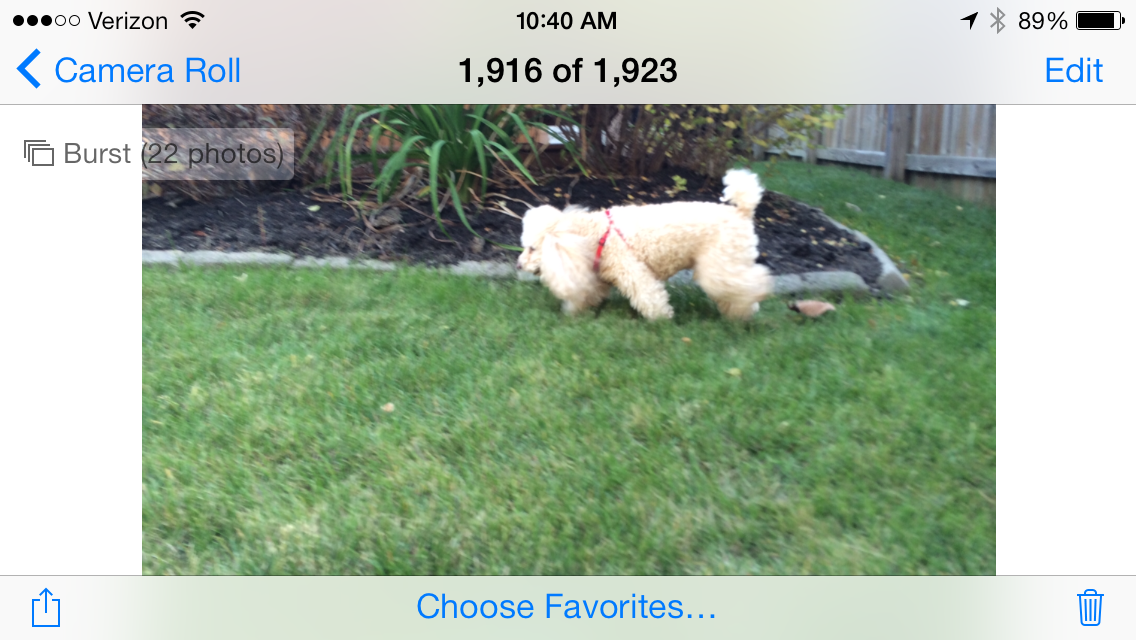 In iOS 7.0.3 users can easily delete bad photos in burst mode.