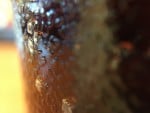 macro shot of drink cup