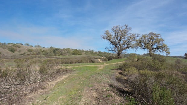 View of the park.