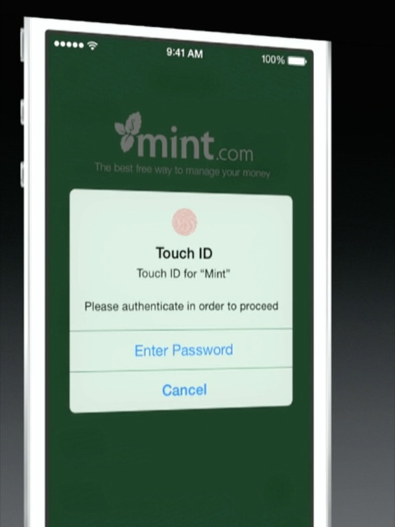 iOS 8 with open Touch ID access for developers
