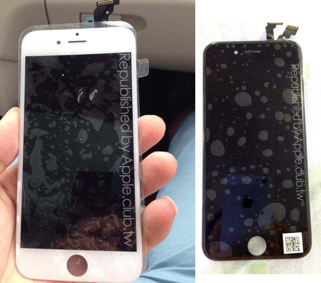 The leaked iPhone 6 screens show a curve on the edge.