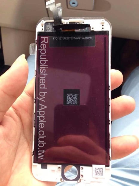 Small Apple logos are present on the screen and the flex cable.