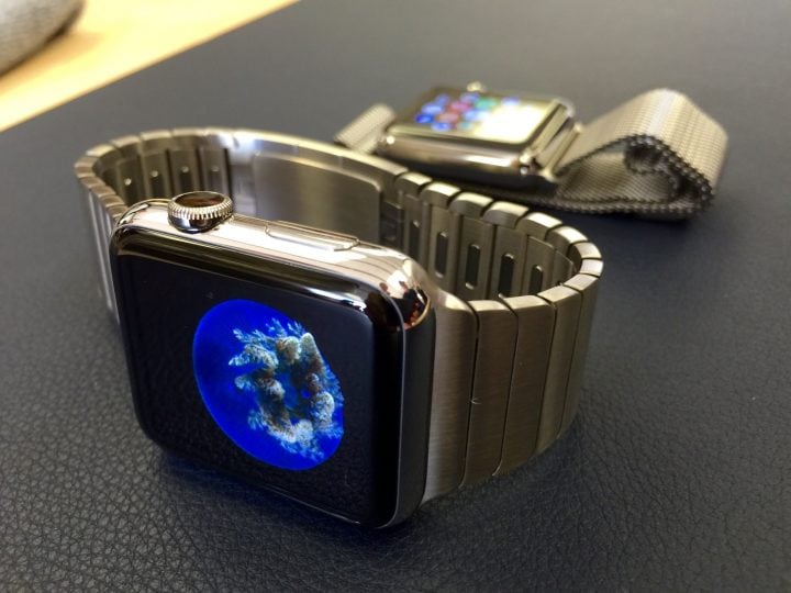 Apple watch shipments