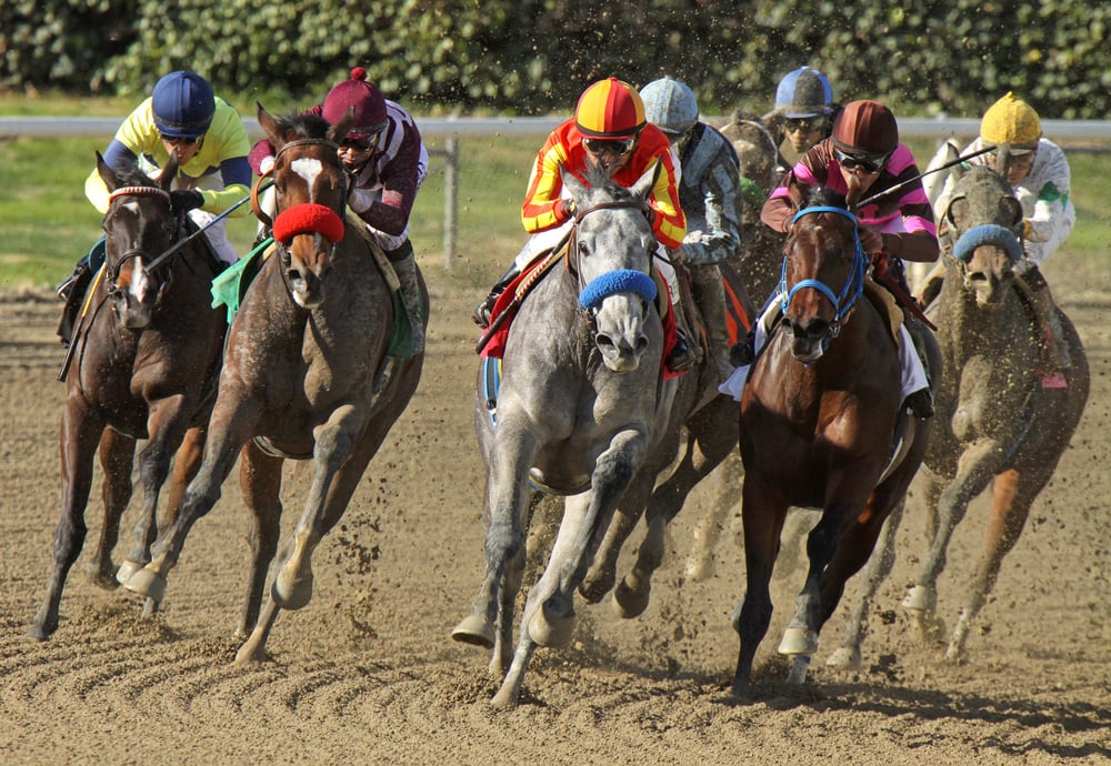 What you need to know about watching the Kentucky Derby Online and betting on the Kentucky Derby from your iPhone. Cheryl Ann Quigley / Shutterstock.com