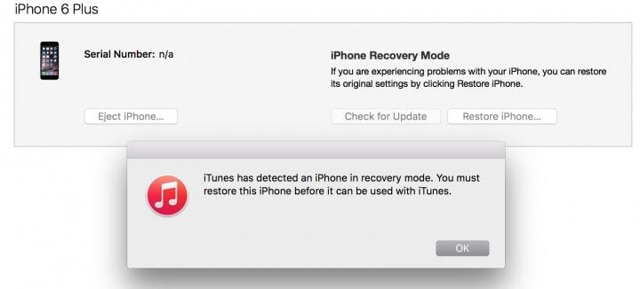 When ready, you will see this iTunes message.