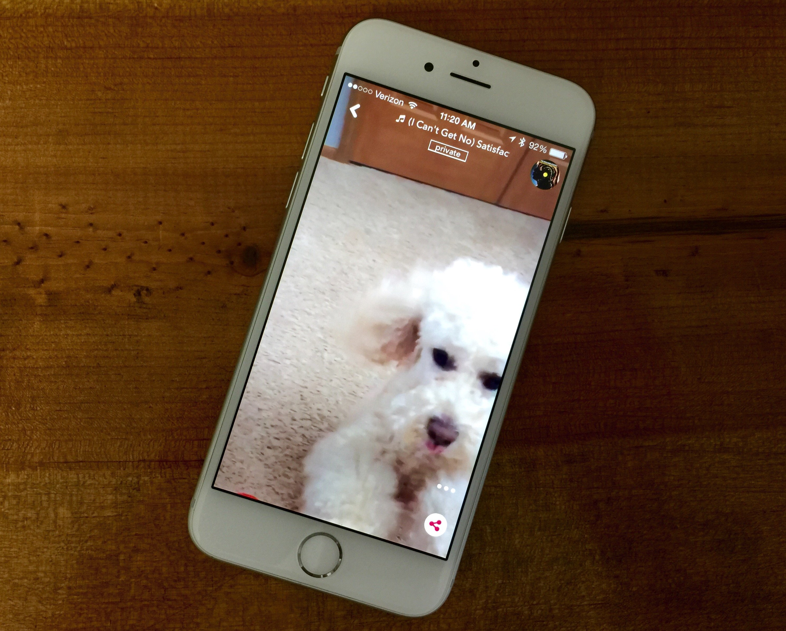 Create hilarious and fun videos in the musical.ly app.