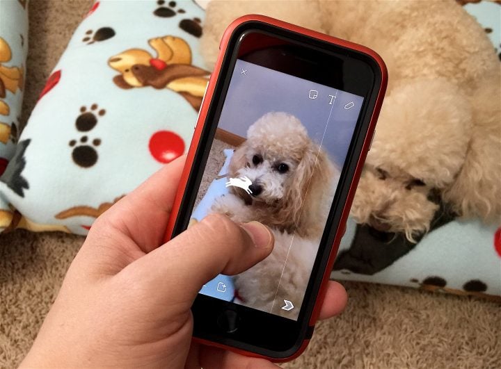 Learn how to use the new Snapchat video filters that come with the October Snapchat update.