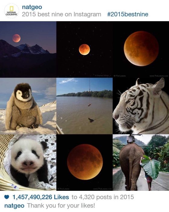 You can see others like the NatGeo best nine Instagram photos of 2015. 