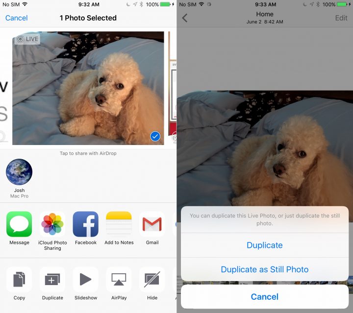 Duplicate a photo in iOS 9.3 so you don't lose a Live Photo when you edit. 