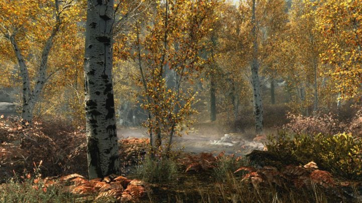 Skyrim-Special-Edition-4
