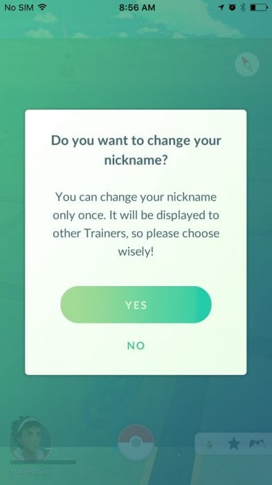 Pokemon GO Account Name Change (8)
