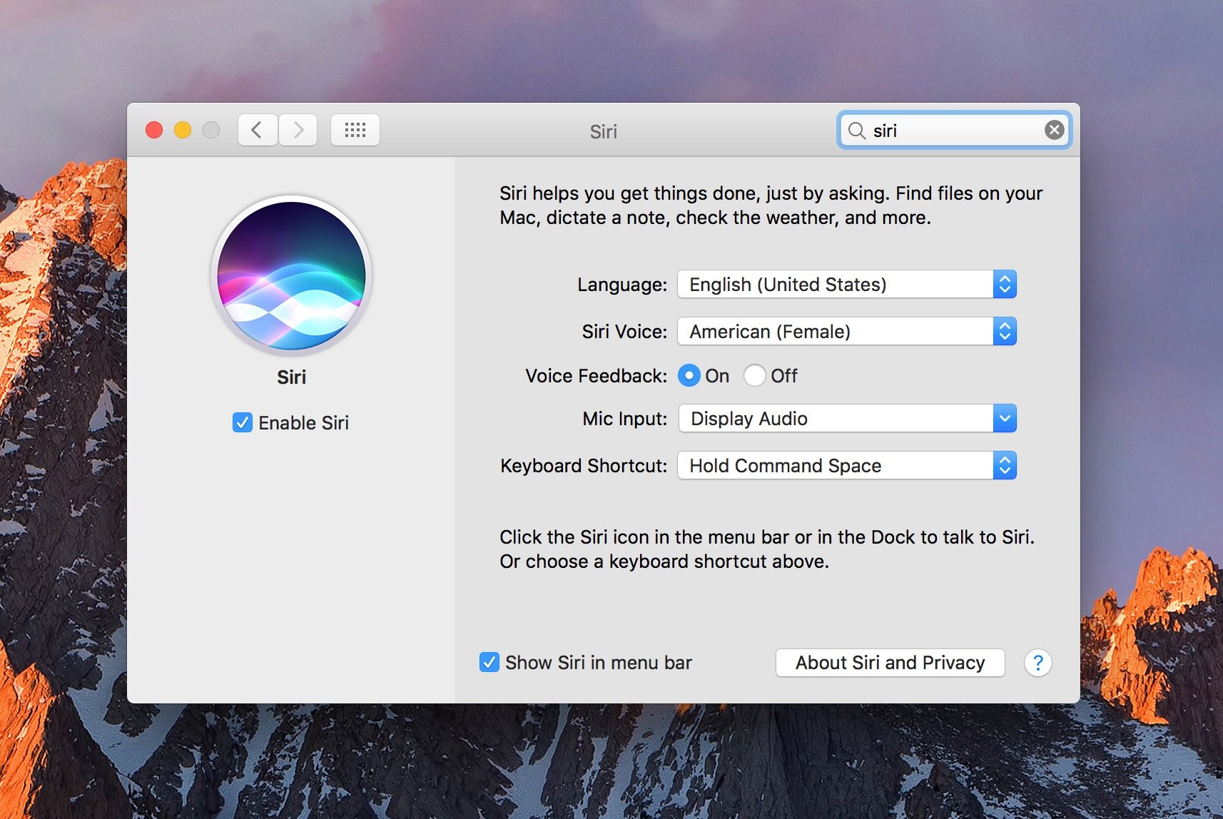 How to turn on Siri for Mac.