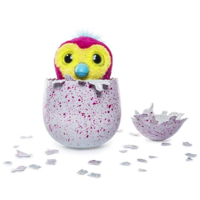 find hatchimals