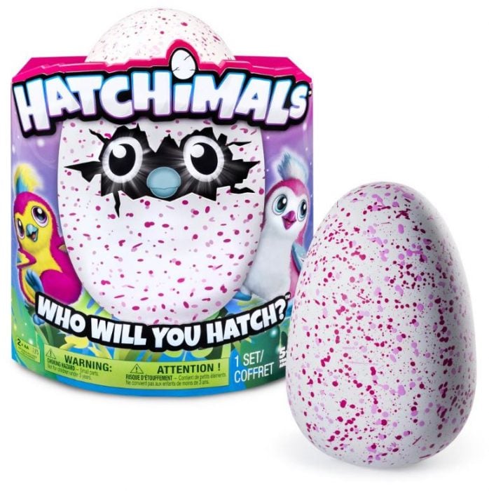 What does the eye color for my Hatchimals WOW mean? — Hatchimals WOW Help  Center