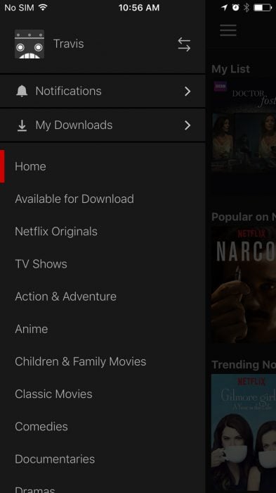 how-to-download-netflix-to-ipho04