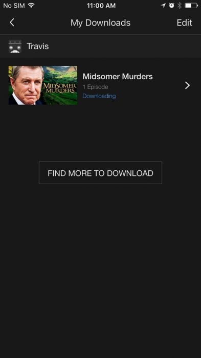 how-to-download-netflix-to-ipho08