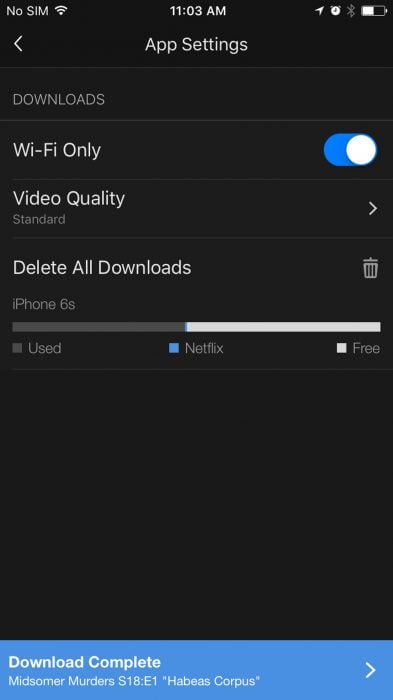 how-to-download-netflix-to-ipho10