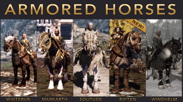 Horses Wear Armor