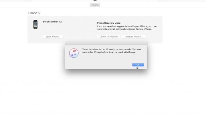 iTunes Will Recognize Your Phone For Restore