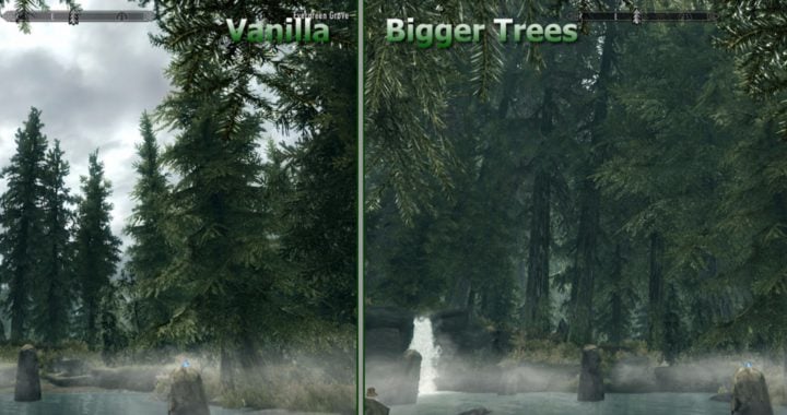 Bigger Trees