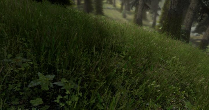 skyrim se grass mod