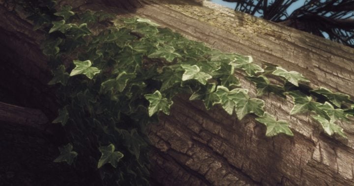 Wood Cover Retexture