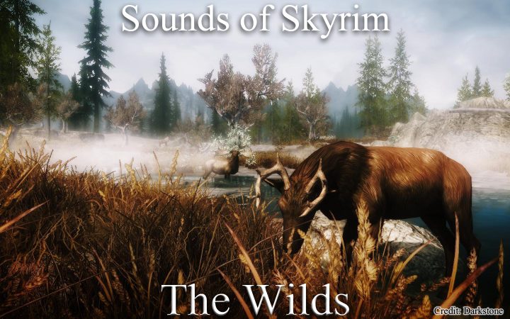 Sounds of Skyrim - The Wilds