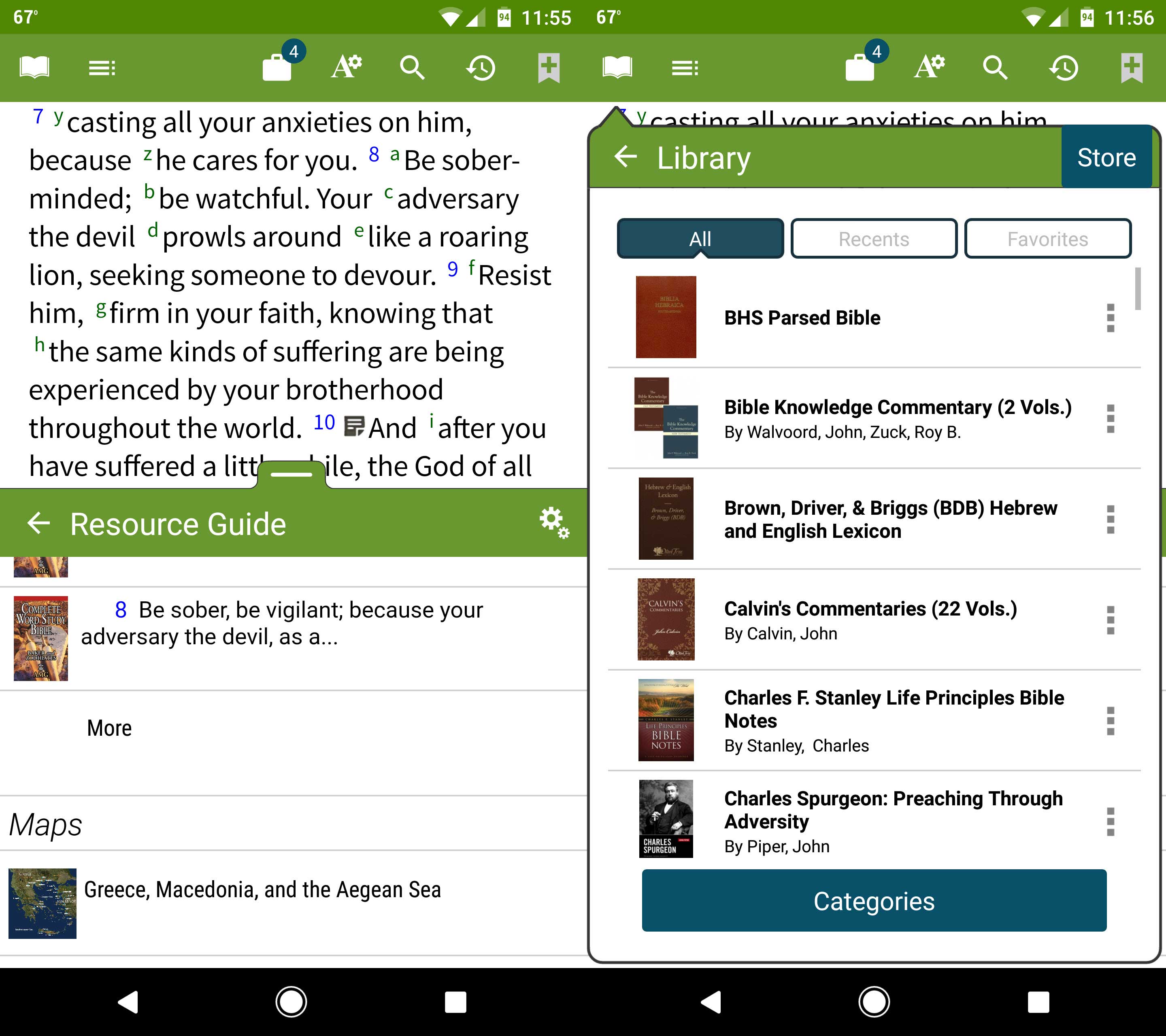 olive-tree-bible-1