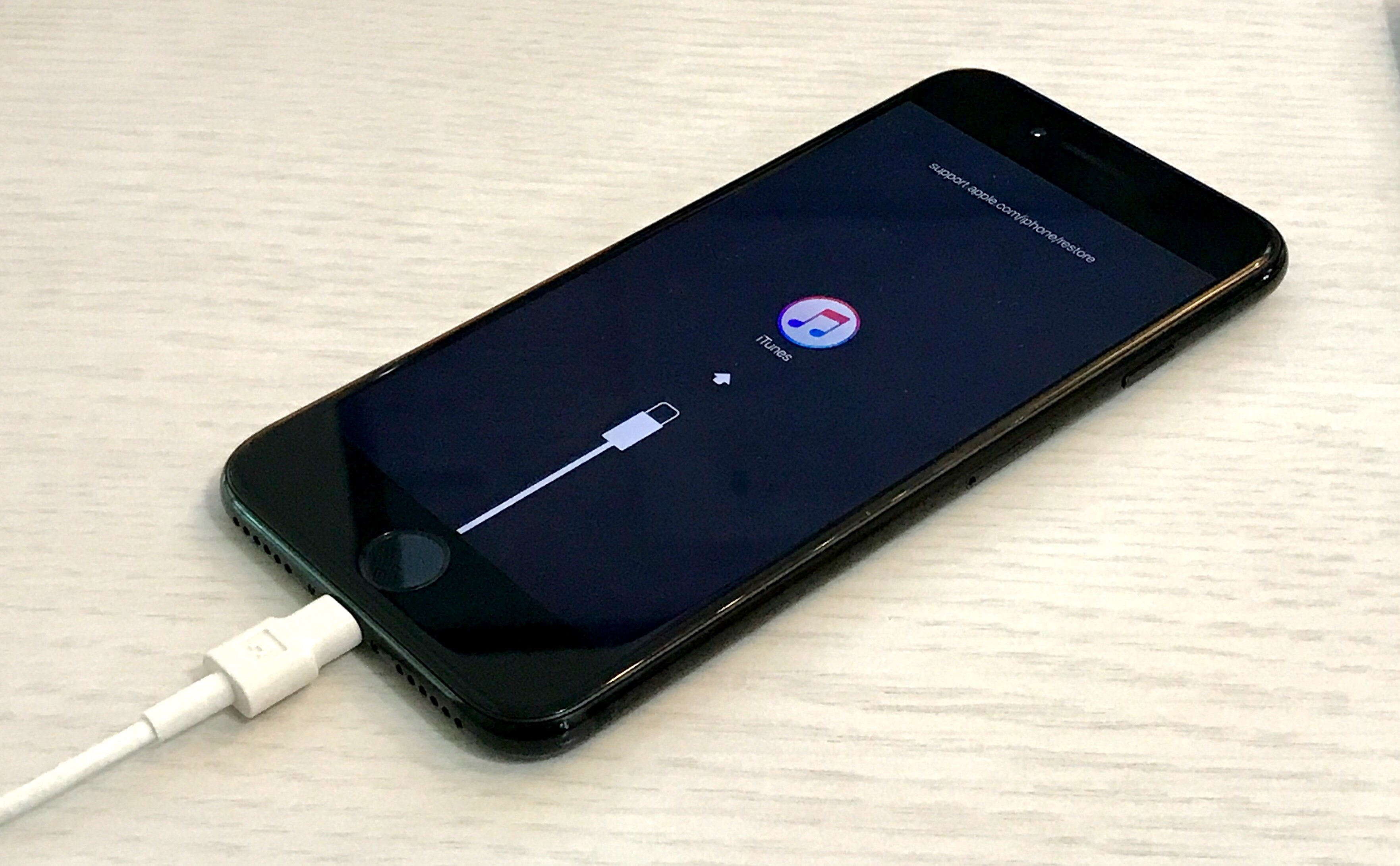 Put the iPhone into Recovery Mode.