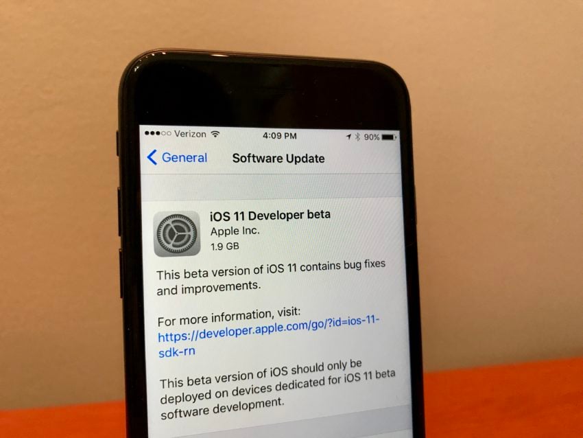Your iOS 11 download screen will show the public iOS 11 beta instead of the developer. 