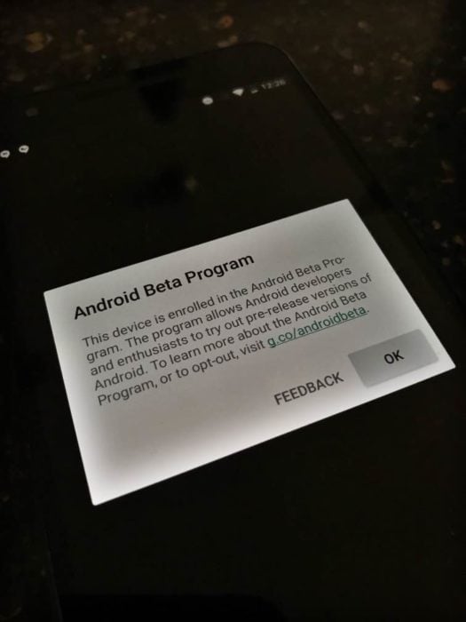 What's Next for the Nexus 5X