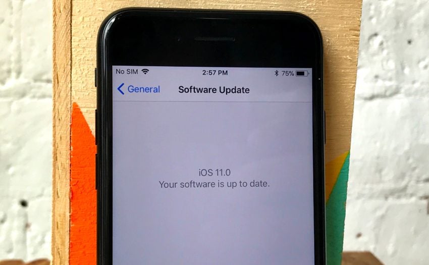 How to downgrade iOS 11.