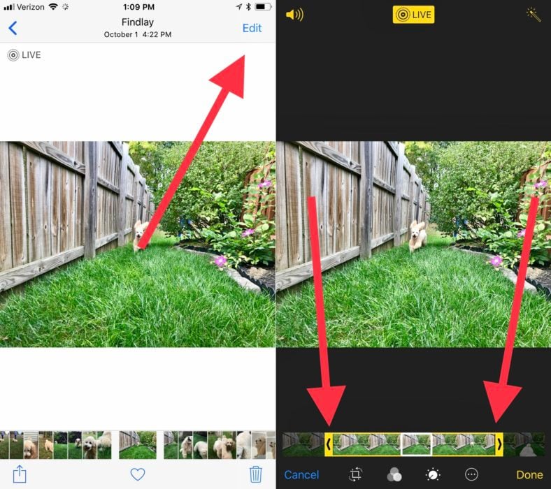 Make a Live Photo shorter or edit out an annoying movement. 