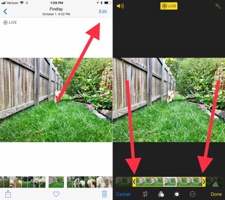Make a Live Photo shorter or edit out an annoying movement.